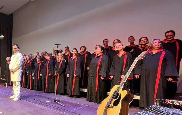 Bei einem Benefizkonzert für das Hospizteam Hartberg gastierte „The Longfield Gospel Workshop“ im VAZ Pinggau.  | Foto: KK