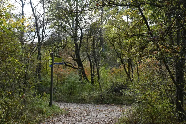 Weiter geht's da zur Dechantlacke und Ausgang Nationalparkhaus