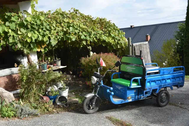 Foto: Gerald Dreisieber