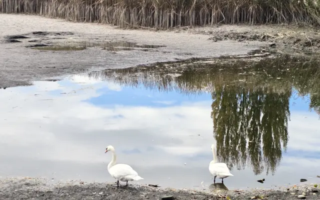 Foto: Christian Nowotny