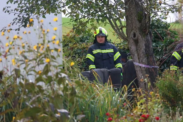 Foto: laumat/Matthias Lauber/Matthias Lauber