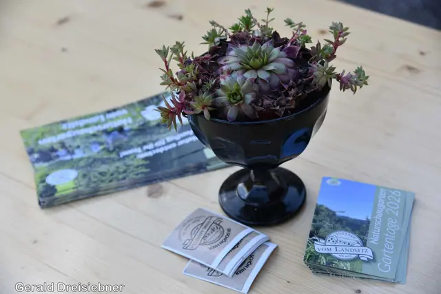 Foto: Gerald Dreisieber