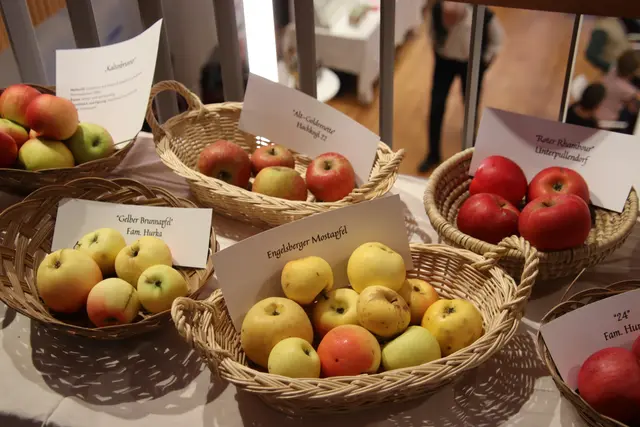 Foto: Martin Wurglits