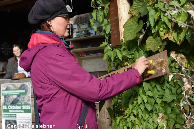 Foto: Gerald Dreisieber