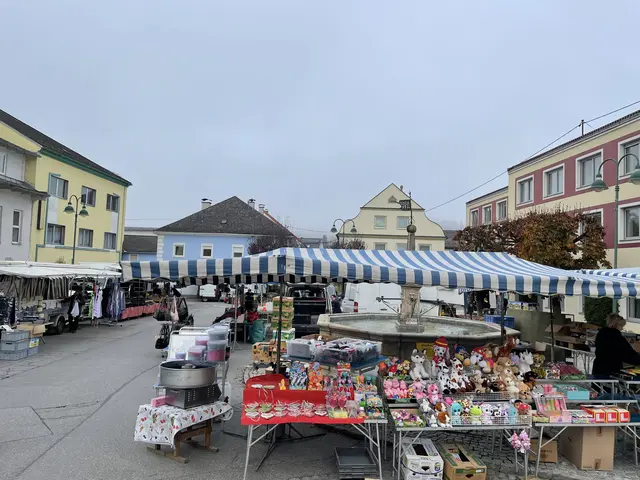 Über 100 Standl und Aussteller gibt es beim Schwertberger Kirtag am Marktplatz und in den Zufahrtsstraßen zu entdecken. | Foto: Marktgemeinde Schwertberg