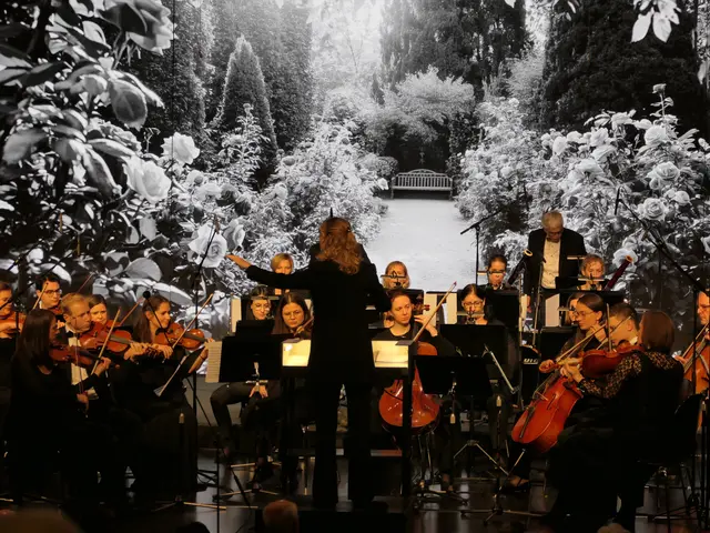 Das Kammerorchester Ybbsfeld bot ein Konzert der Extraklasse | Foto: Gerlinde Siebenhandl