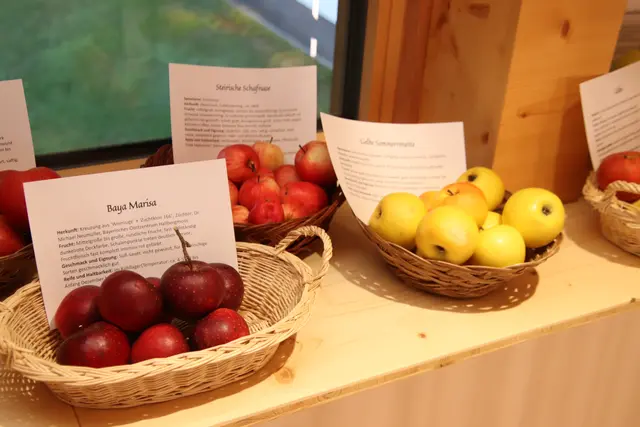 Foto: Martin Wurglits