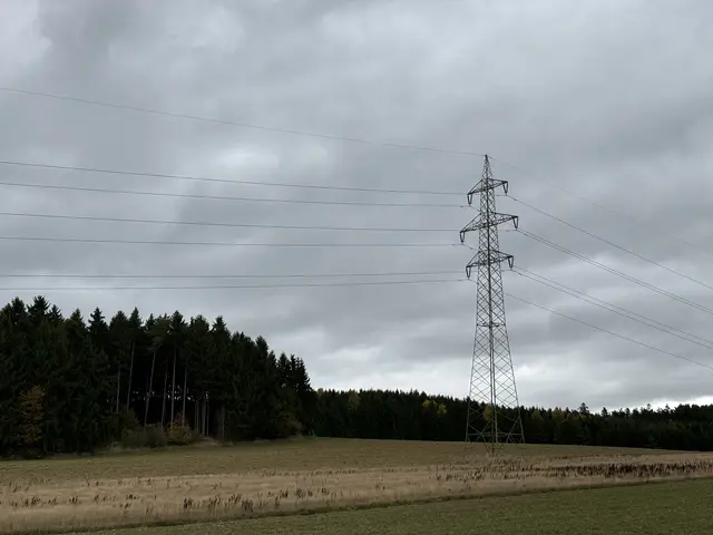 Eine Starkstrom-Freileitung soll von Karlstein Richtung Groß Siegharts geführt werden. | Foto: Daniel Schmidt