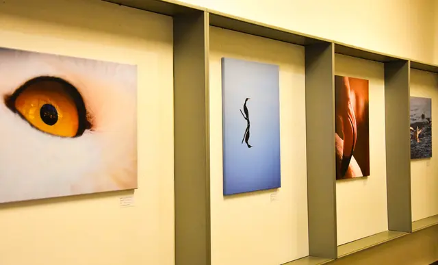 BTX 3: Die Ausstellung „Licht.Linse.Leidenschaft“ ist noch bis 28. November 2025 geöffnet.       Foto: Emina Peter
 
