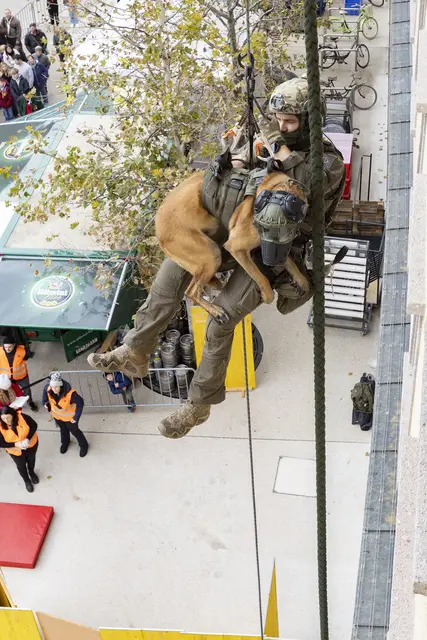 Eliteeinheit Cobra seilte sich vom Dach des Landhauses.
 | Foto: © Land Tirol/Die Fotografen