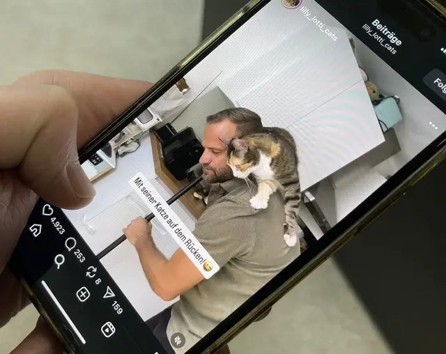 Auf Instagram erreicht Lukas Hintersteiner bereits Zigtausende Follower. Jetzt wurde er auch zum "Petfluencer des Jahres Katze 2025" gewählt. | Foto: MeinBezirk/Instagram