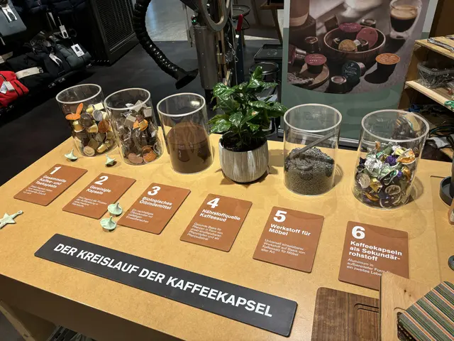 Veranschaulicht dargestellt: der Weg der Kaffeekapsel. | Foto: Lisa Gold