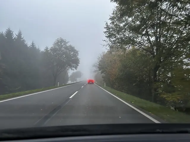 Nebel, Dunkelheit und feuchte Straßen machen die Gefahr oft unsichtbar, bis es zu spät ist. | Foto: Tanja Handlfinger