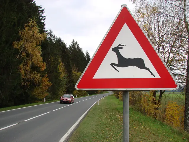 Die Warnschilder "Wildwechsel" sind unbedingt zu beachten. Im Fall von kreuzendem Wild wird von Ausweichmanövern abgeraten. | Foto: Privat
