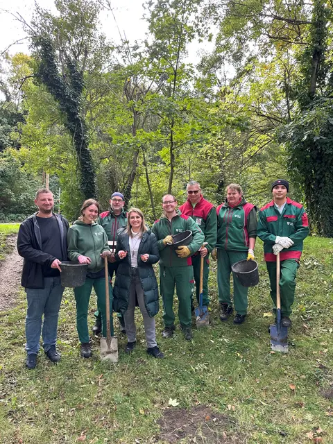 Wiener Stadtgärtnerinnen und Stadtgärtner mit Bezirksvorsteherin Johanna Zinkl (ÖVP) beim Blumenzwiebel setzen. | Foto: BV Hietzing