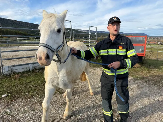 Pferde sind Fluchttiere. Beim Einsatz gilt es darauf Rücksicht zu nehmen. | Foto: Ferdinand Kobermann/Freiwillige Feuerwehr Ternitz-Raglitz