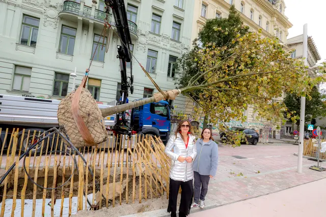(v.l.) Stadträtin für Stadtentwicklung Ulli Sima und Bezirksvorsteher-Stellvertreterin Julia Lessacher (beide SPÖ) freuen sich über die neuen Bäume. | Foto: BV6