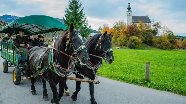 Mittels Pferdekutsche wurden die Journalistinnen und Journalisten zum Egelsee gebracht.  | Foto: TVB Golling/Sebastian Waß