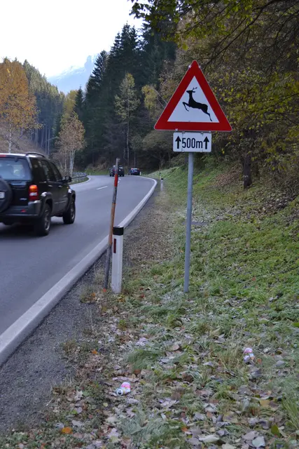 Achtung Wildwechsel: Im Herbst mehren sich jedes Jahr die Wildunfälle. | Foto: MeinBezirk