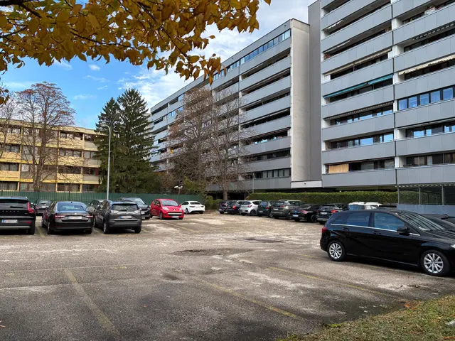 Die weißblühende Rosskastanie liegt über der geplanten Tiefgarage.  | Foto: Matthias Pandrea/MeinBezirk