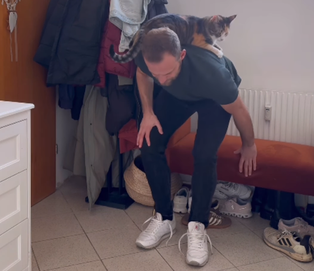 Das Leben in einem Katzenhaushalt ist nicht immer ganz einfach, wie Hintersteiner beweist. | Foto: Screenshot Instagram lilly_lotti_cats