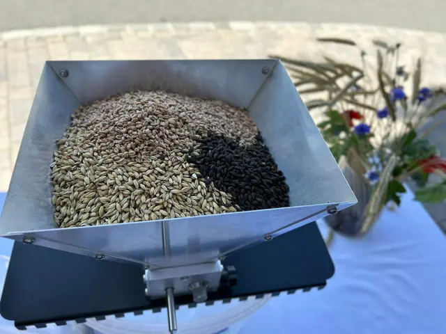 Foto: s´kemater bier