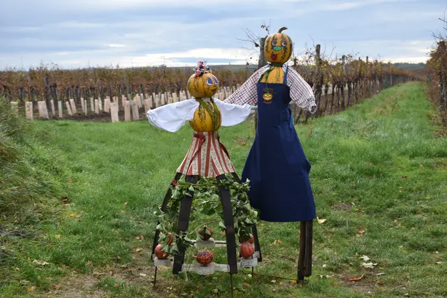 Ein Motiv für viele Handykameras: kunstvoll gestaltete Kürbisfiguren. | Foto: Alexandra Goll