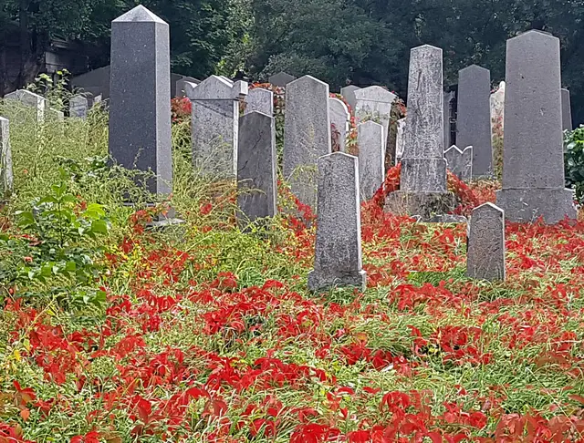 Foto: Kerstin Samuel