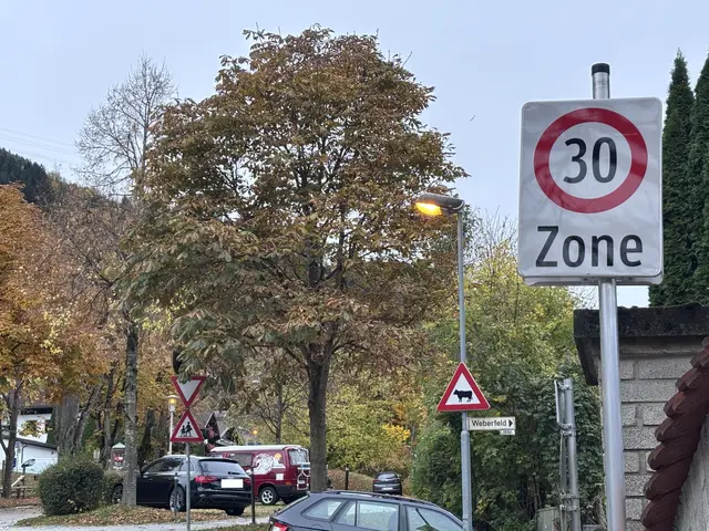 Dier 30er Zone am Pirchanger (Bereich Spielplatz) ist von langer Hand geplant.  | Foto: Haun