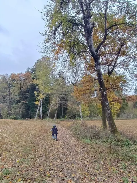 Auch für Kids ist es ein toller Ort zum Spielen und Herumtoben. | Foto: Tamara Zuchna