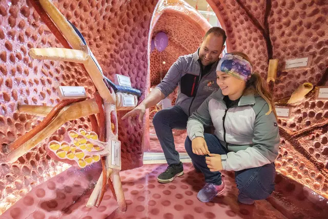 Eine Gesundheits-Begehung der besonderen Art erwartete die Besucherinnen und Besucher im Landhaus.
 | Foto: © Land Tirol/Die Fotografen