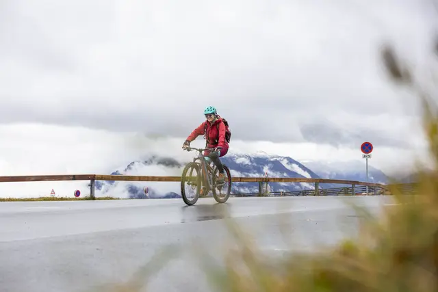 Rund 300 wetterfeste Teilnehmerinnen und Teilnehmer machten sich am Nationalfeiertag im Rahmen der Initiative „Bewegte Stadt“ auf den Weg zur Expedition Gaisberg.
 | Foto: Stadt Salzburg/Wildbild/Rohrer