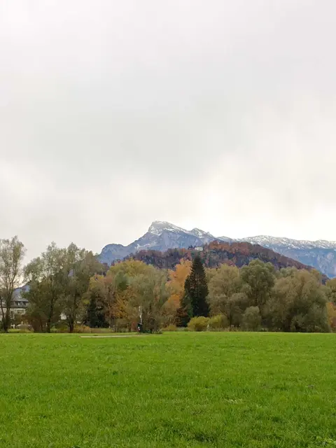 Das Samer Mösl bietet auch ein Bergpanorama. Blick auf den Kapuziner- und Untersberg im Hintergrund. | Foto: Tamara Zuchna