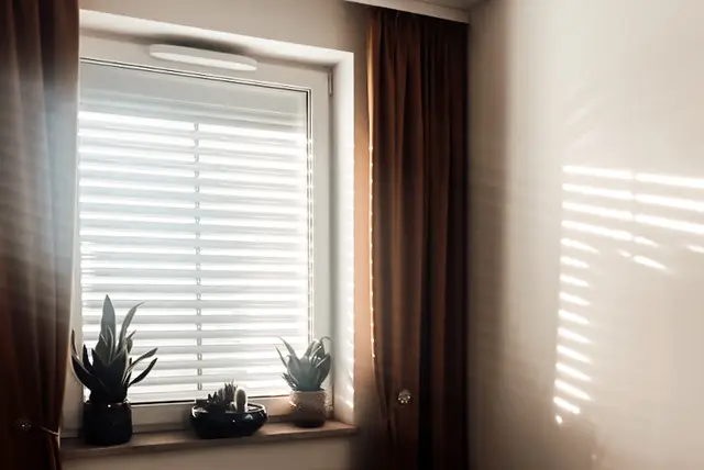 Foto: Manuela Danzinger