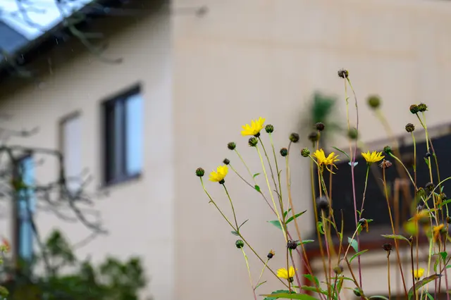 Foto: TEAM FOTOKERSCHI / WERNER KERSCHBAUMMAYR