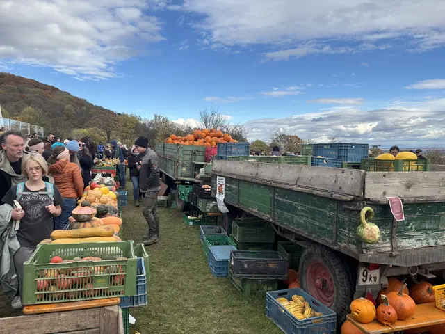 Bei verschiedenen Ständen wurde allerlei rund um den Kürbis angeboten. | Foto: Valentina Marinelic/MeinBezirk