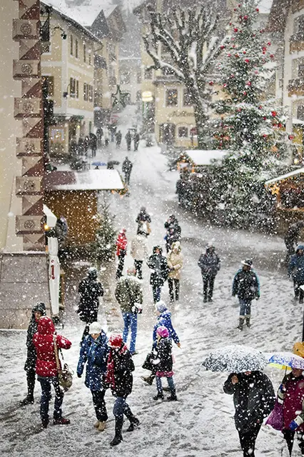 Foto: Klement/Schwingenschlögl