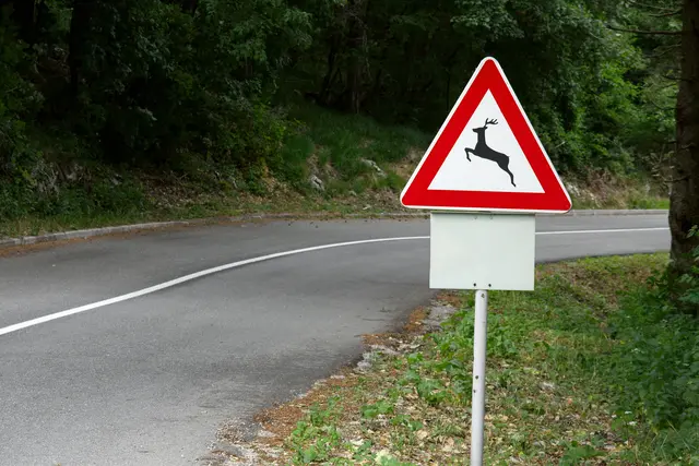 Mit der Zeitumstellung steigt die Zahl der Wildunfälle in Österreich stark an, da sich die Aktivitätszeiten der Tiere mit dem Berufsverkehr überschneiden – alle 19 Minuten verendet ein Wildtier auf der Straße.  | Foto: PantherMedia/Gudella (YAYMicro)