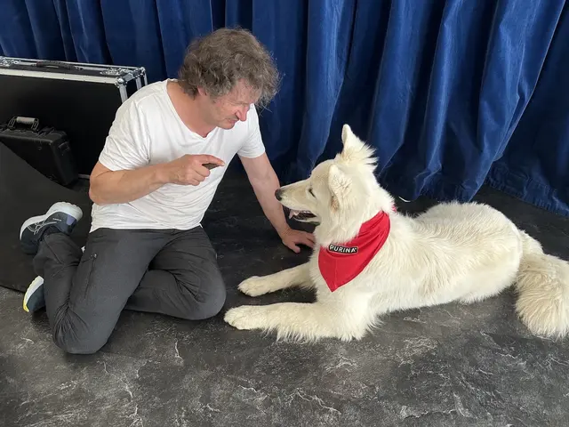 "Amando" ist mehr als ein Blindenführhund. Er ist Seelenverwandter, treuer Gefährte – und für Wolfgang auch eine Brücke zur Gesellschaft. | Foto: WN