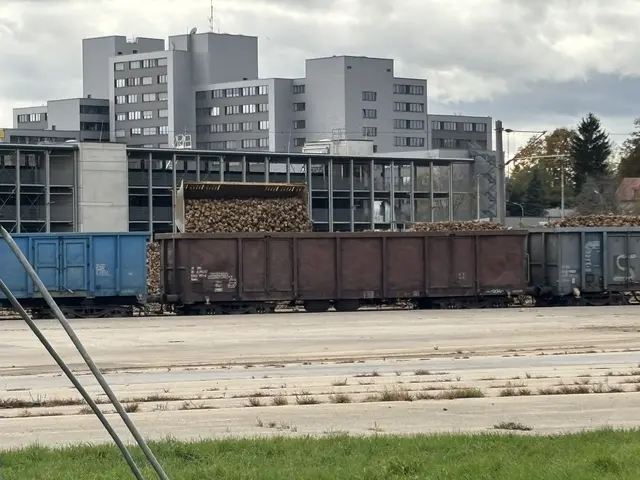 Der Rübenplatz ist derzeit zentrale Ablieferungsstelle mit Bahnanschluss. | Foto: Alexandra Goll