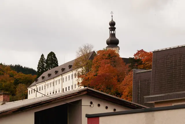 Die Böume, die man noch beim Schloss sieht, gehören bald der Vergangenheit an. | Foto: Santrucek