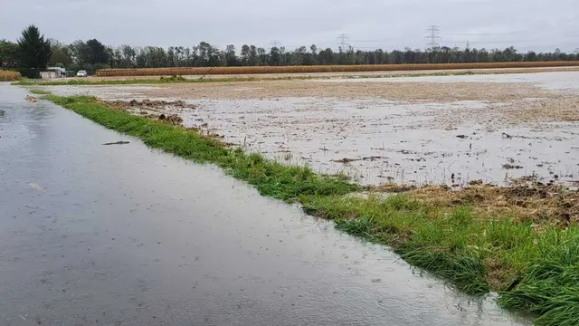 Das Tullnerfeld war überflutet. | Foto: Kramer