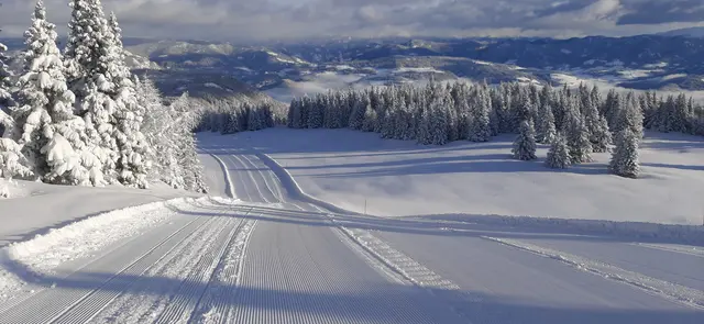 Foto: GrebenzenHöhen