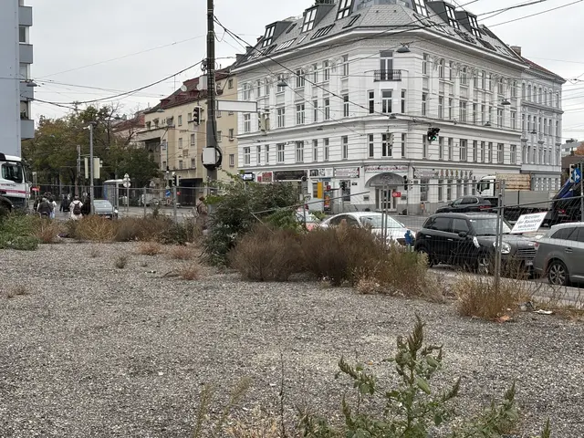 Foto: Fabian Franz/MeinBezirk