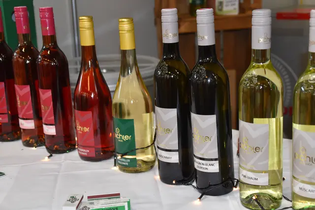 Topweine aus verschiedenen Regionen finden sich auf der Genussmesse in Oberwart. | Foto: Michael Strini