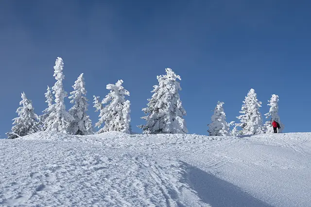 Foto: Fotofreunde/W. Staufer