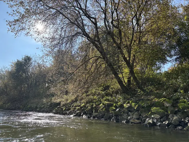 Foto: MeinBezirk/Gerda Sammer-Schmidt