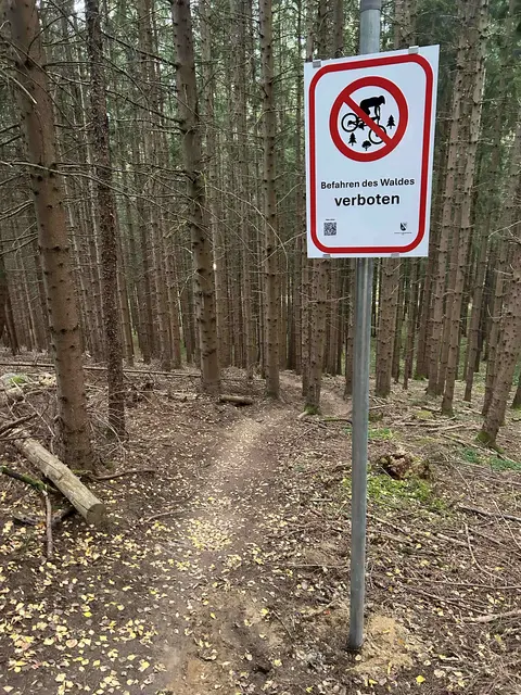 Die Waldwege zwischen Lans und Innsbruck sind bei Sportlern sehr beliebt. Mit Verbotsschildern möchte man die illegalen Fahrten reduzieren.  | Foto: Partl