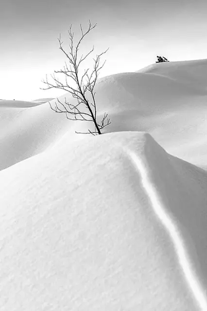 Foto: Fotofreunde/R. Staufer