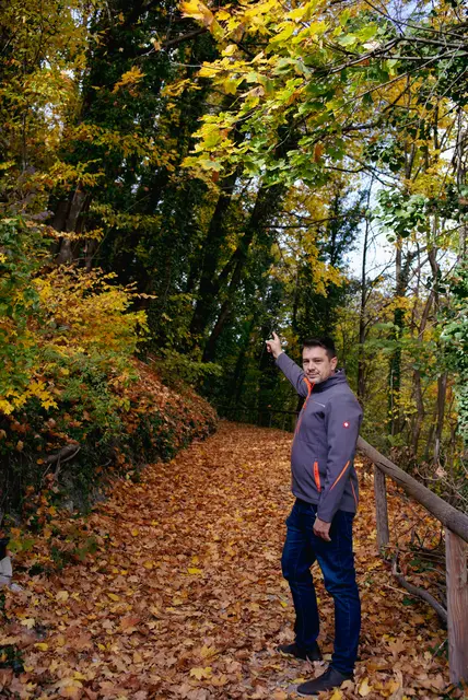 Der Weg zum Schloss, der hinter dem Stiegenwirtshaus verläuft. Die Bäume sind krank, zeigt Bgm. René Blum. | Foto: Santrucek